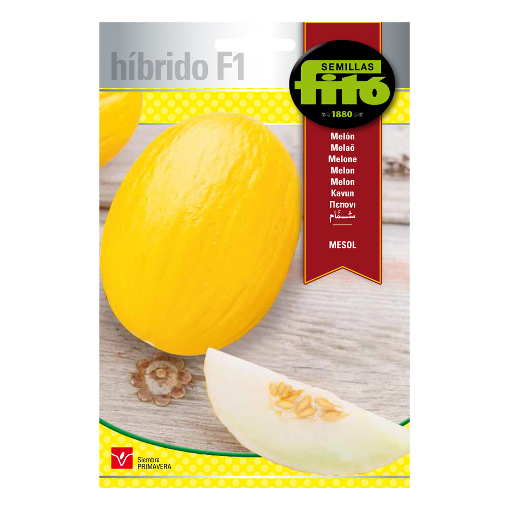 Meló Mesol Híbrid Fitó-30075000