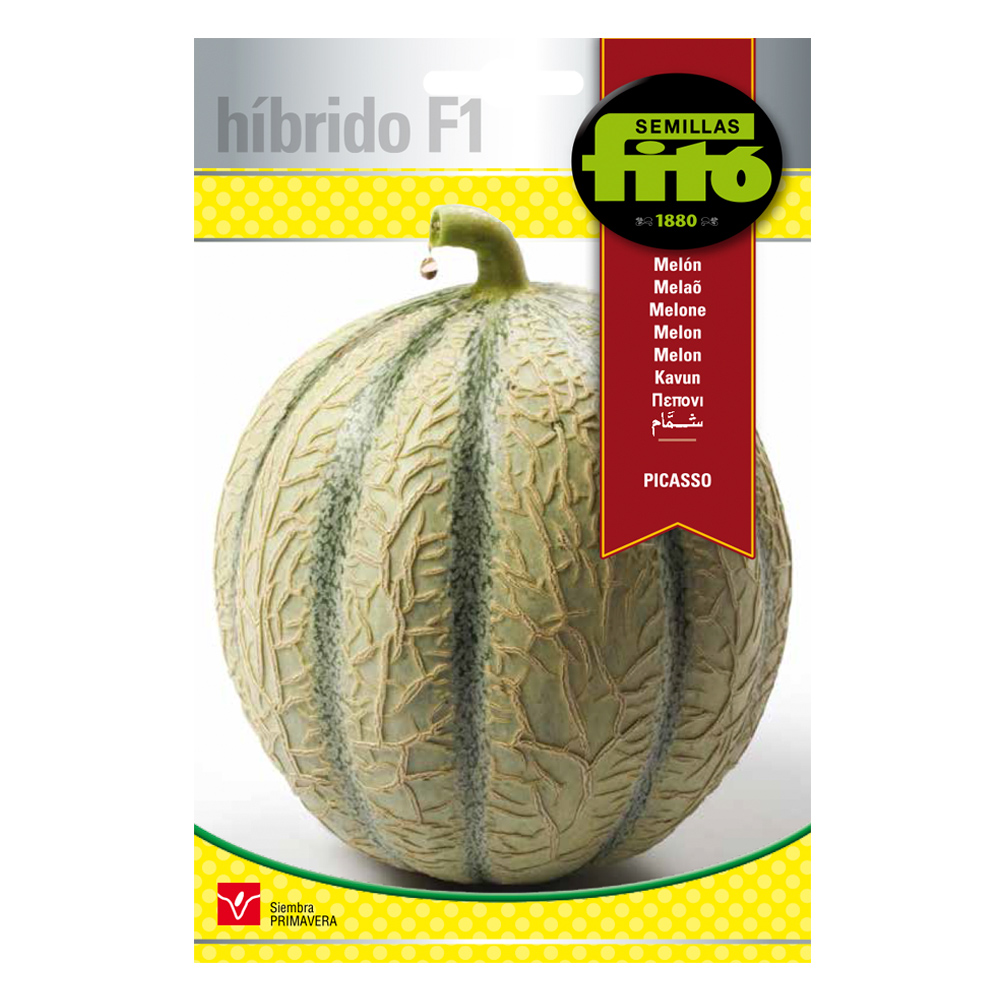 Meló Picasso Híbrid Fitó-30076000