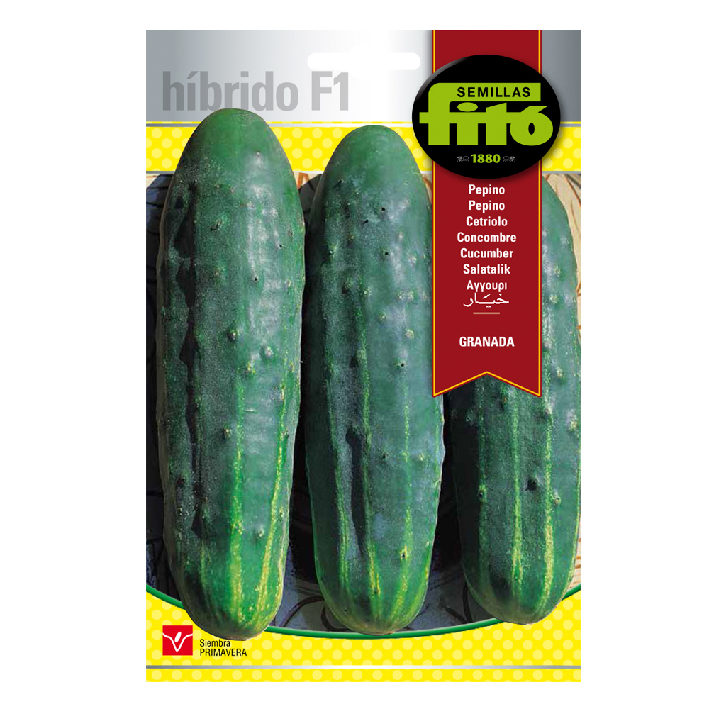 Cogombre Granada Híbrid Fitó-30078000
