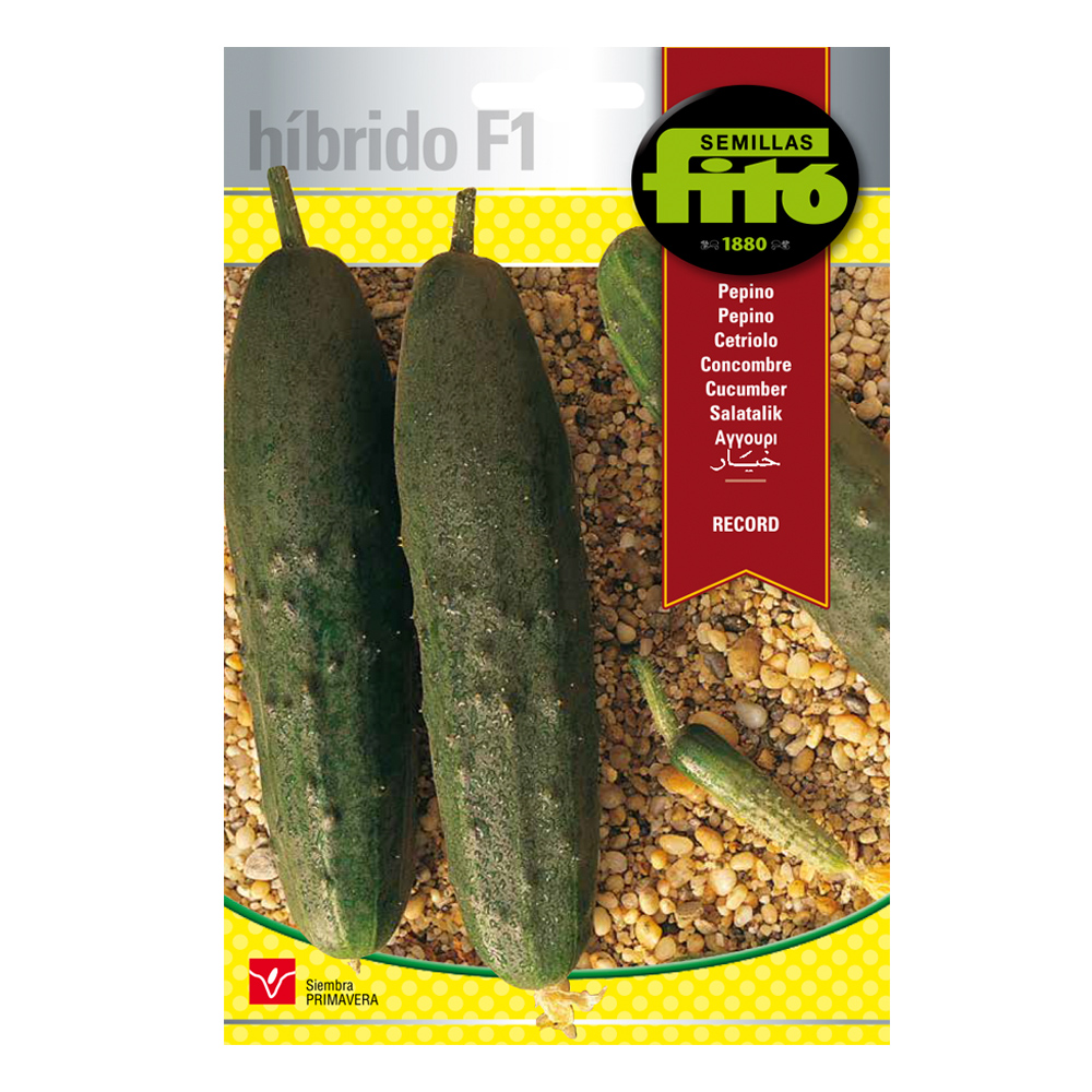 Cogombre Record Híbrid Fitó-30079000