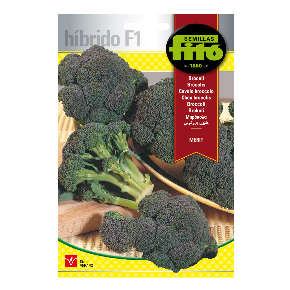 Bròculi Merit Híbrid Fitó-30082000