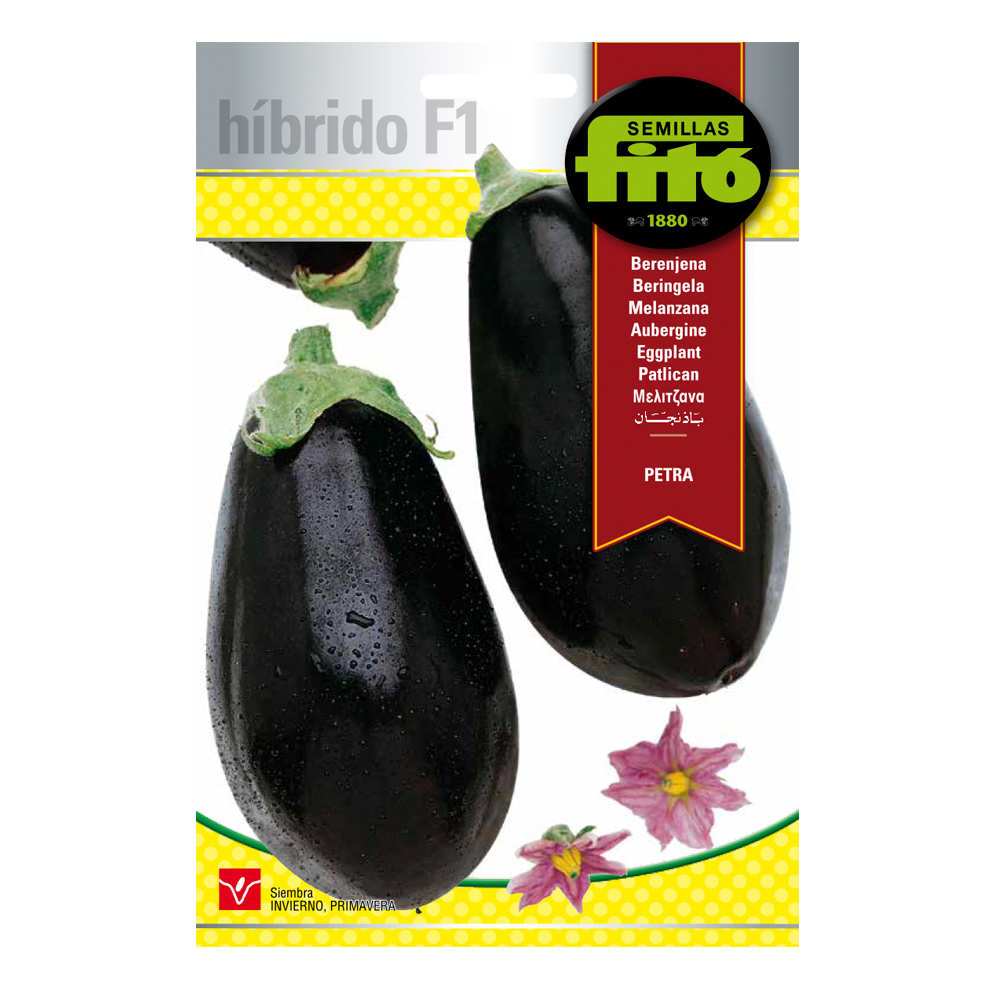 Berenjena Petra Híbrida Fitó-30086000