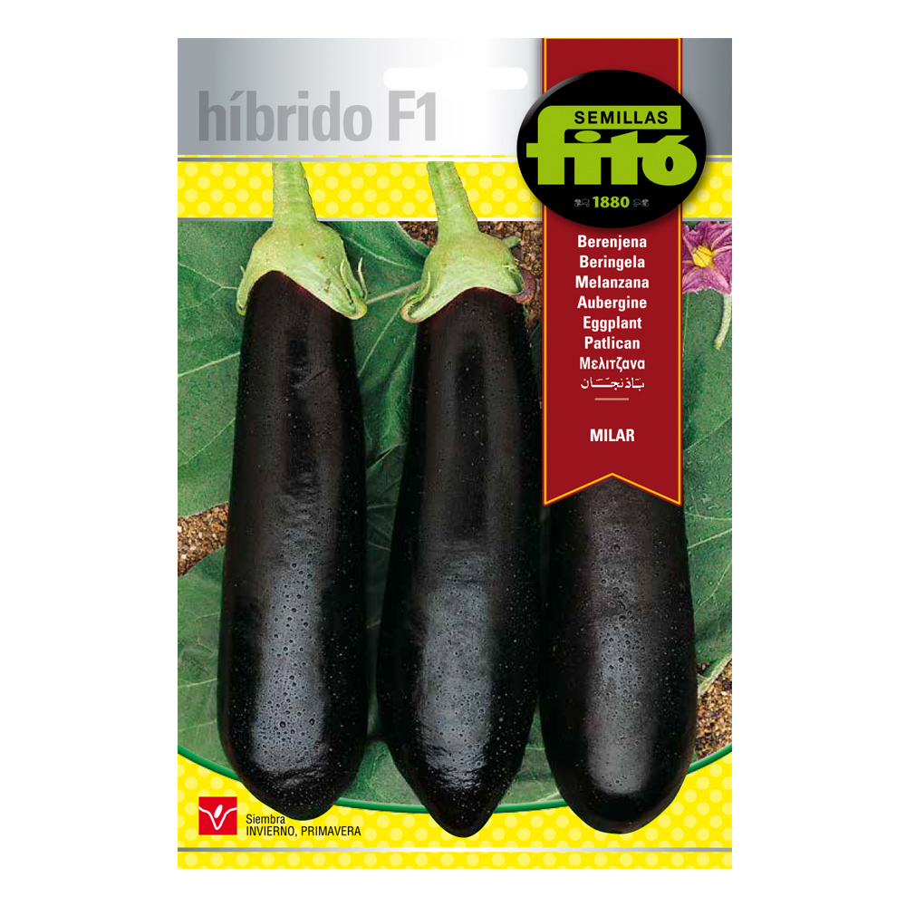 Albergínia Milar Híbrida-30087000