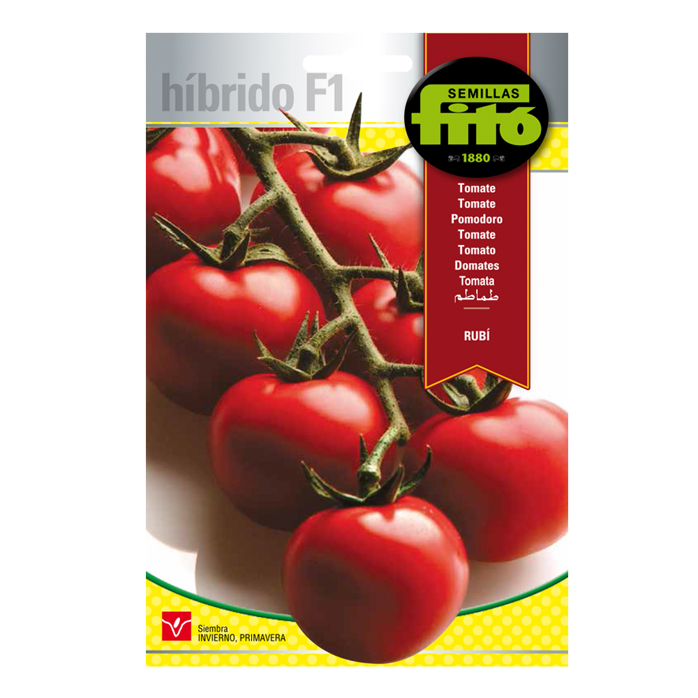 Tomàquet Rubí Híbrid Fitó-30091000