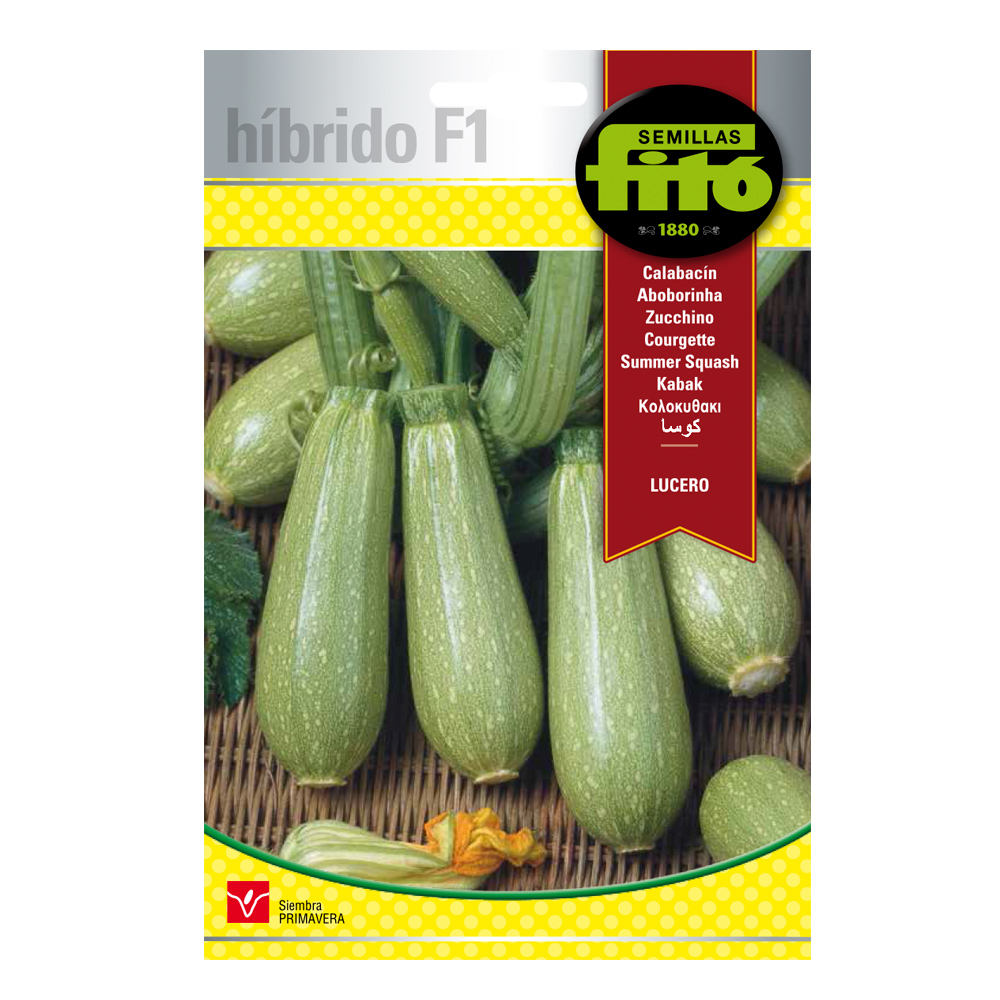 Carbassó Lucero Híbrid Fitó-30094000