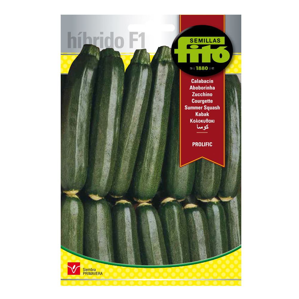 Carbassó Prolific Híbrid Fitó-30095000