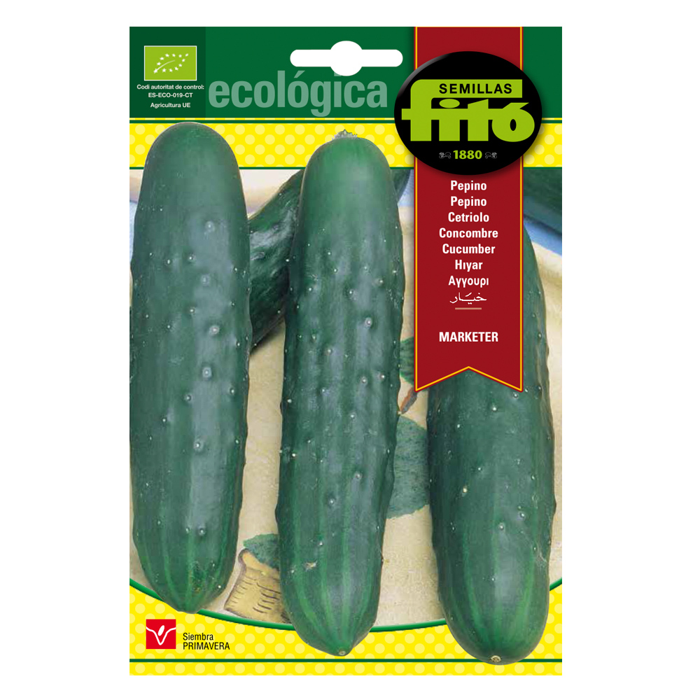 Cogombre Marketer Ecològic Fitó-30099000