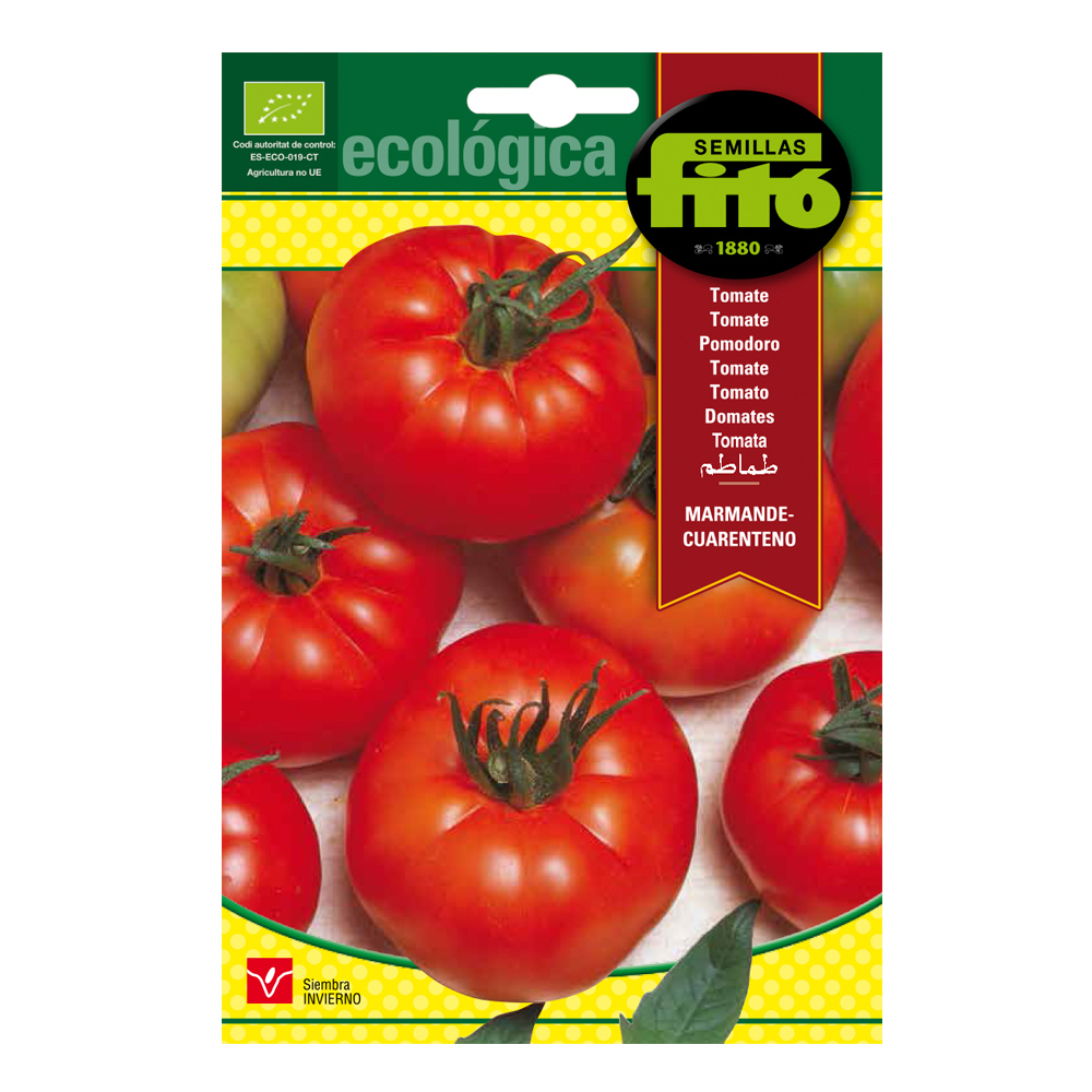 Tomàquet Marmande-Cuarenteno Ecològic Fitó-30106000