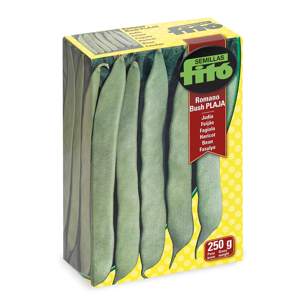 Mongeta Romano Bush-Plaja -348880800