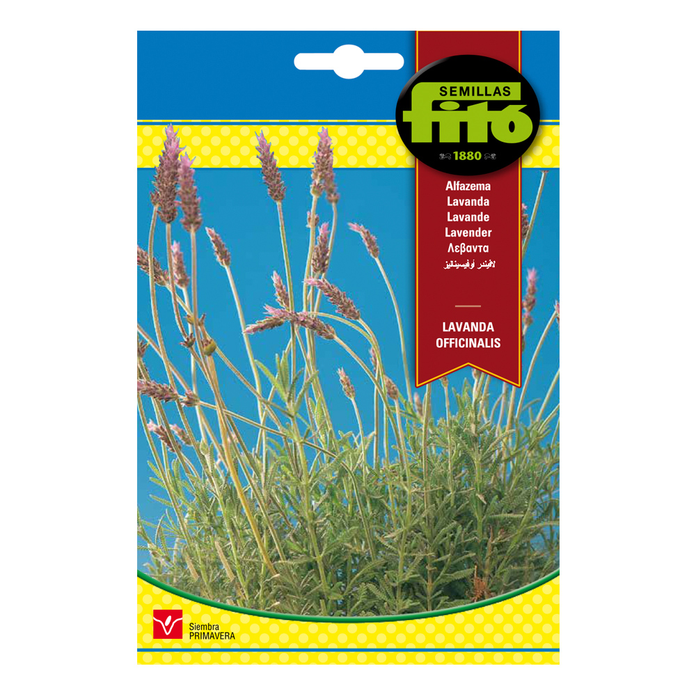 Lavanda Officinalis Fitó-34928000