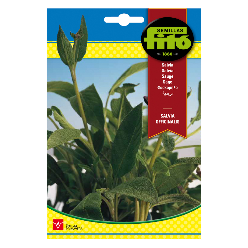 Salvia Officinalis Fitó-34935000