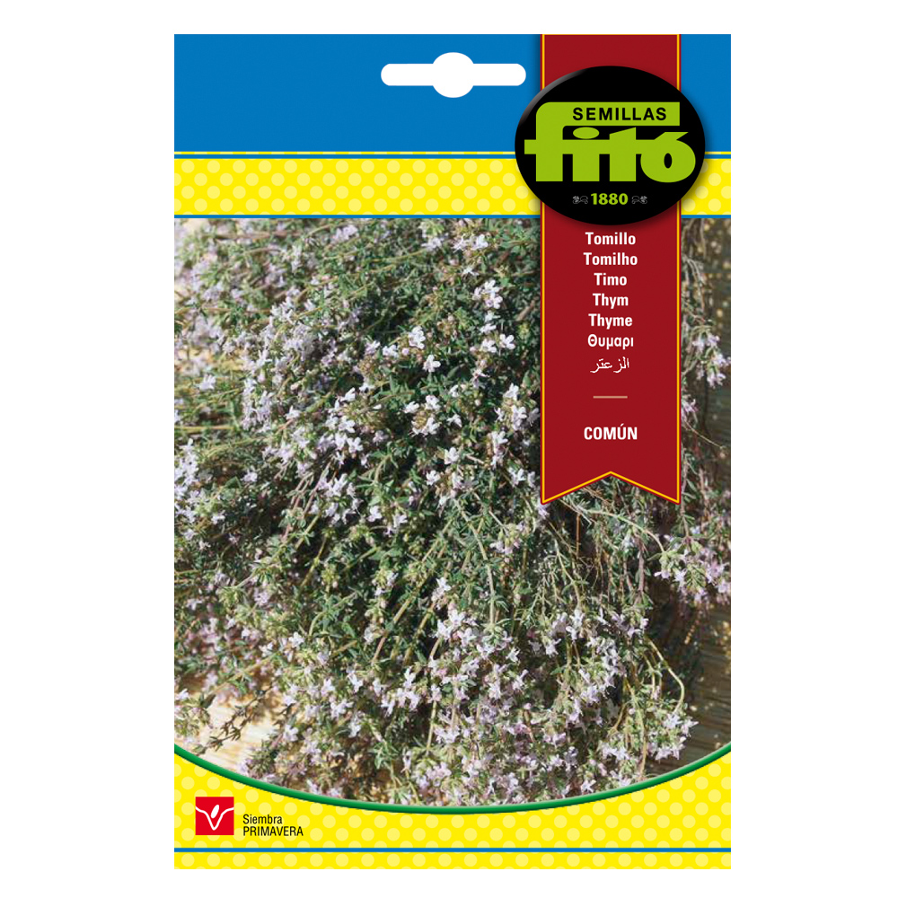 Farigola comú Fitó-34936000
