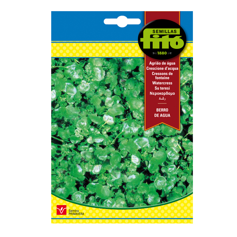 Berro de agua Watercress-34989000