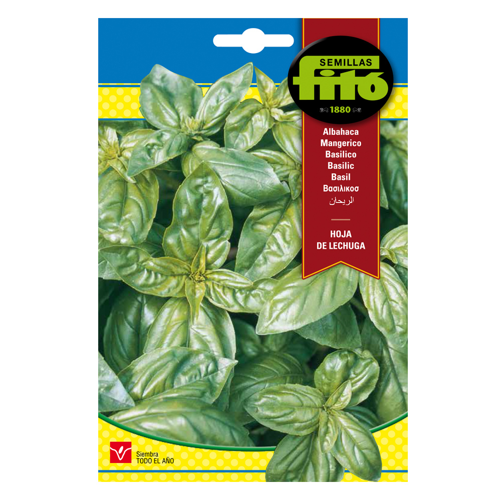 Alfàbrega Hoja de Lechuga Fitó-34995000