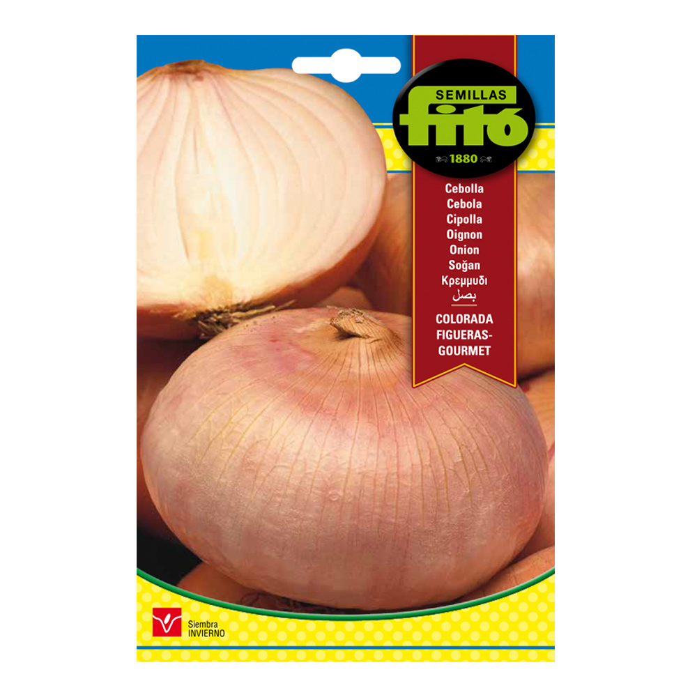 Cebolla Colorada Figueras - Gourmet-35034000