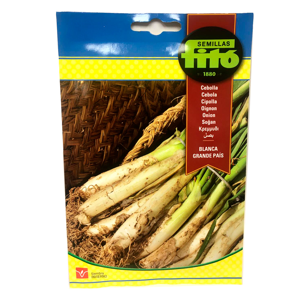 Ceba Blanca Gran País (calçot)-35078000
