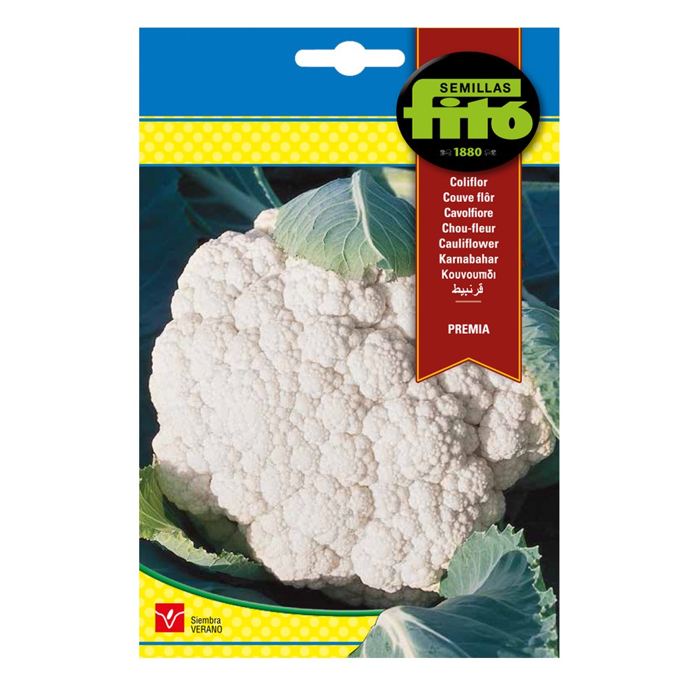 Coliflor Premià-35084000