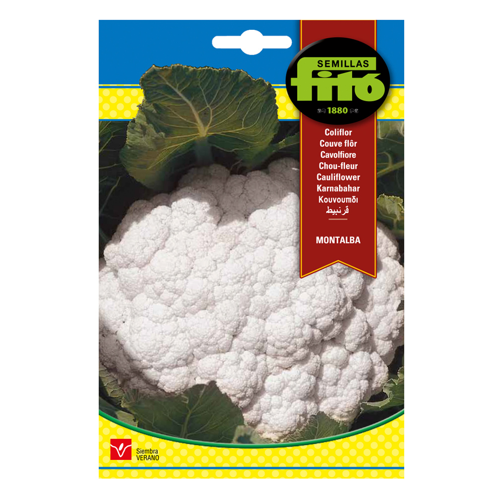 Coliflor Montalba-35085000