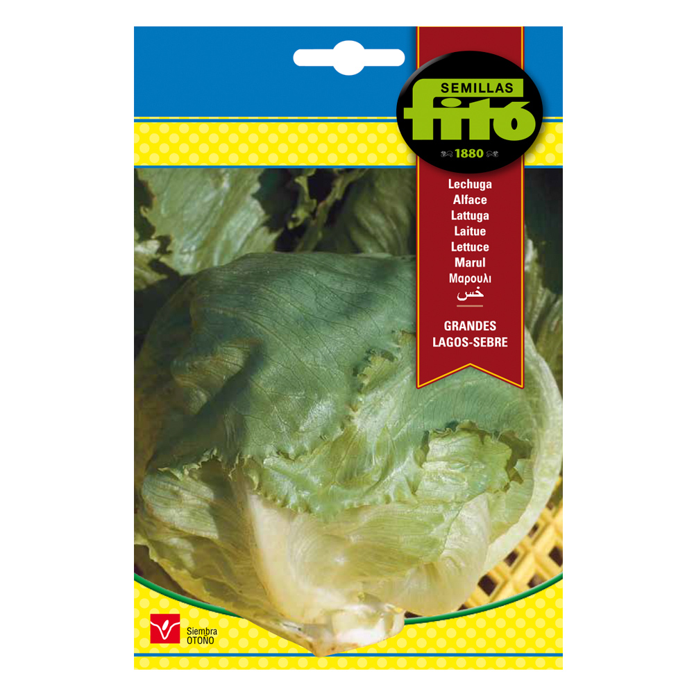 Enciam Grandes Lagos-Sebre-35098000