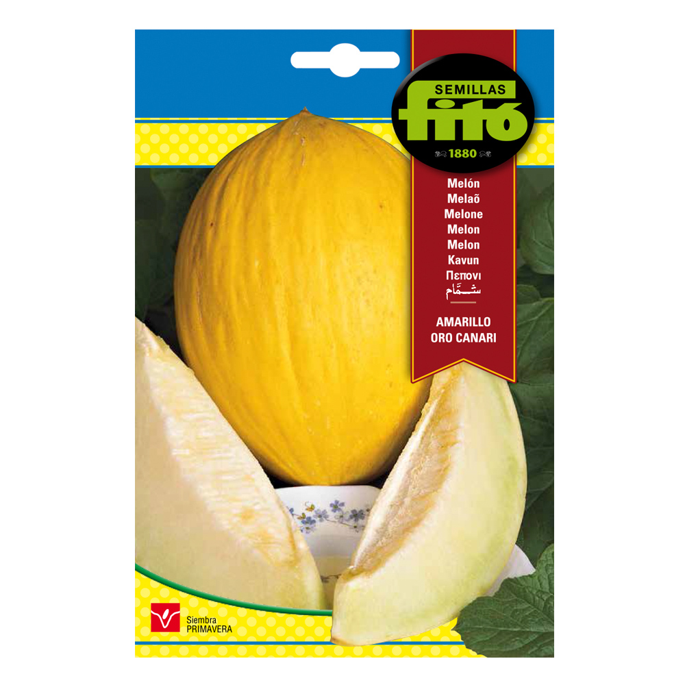 Melón Amarillo Canario-35103000