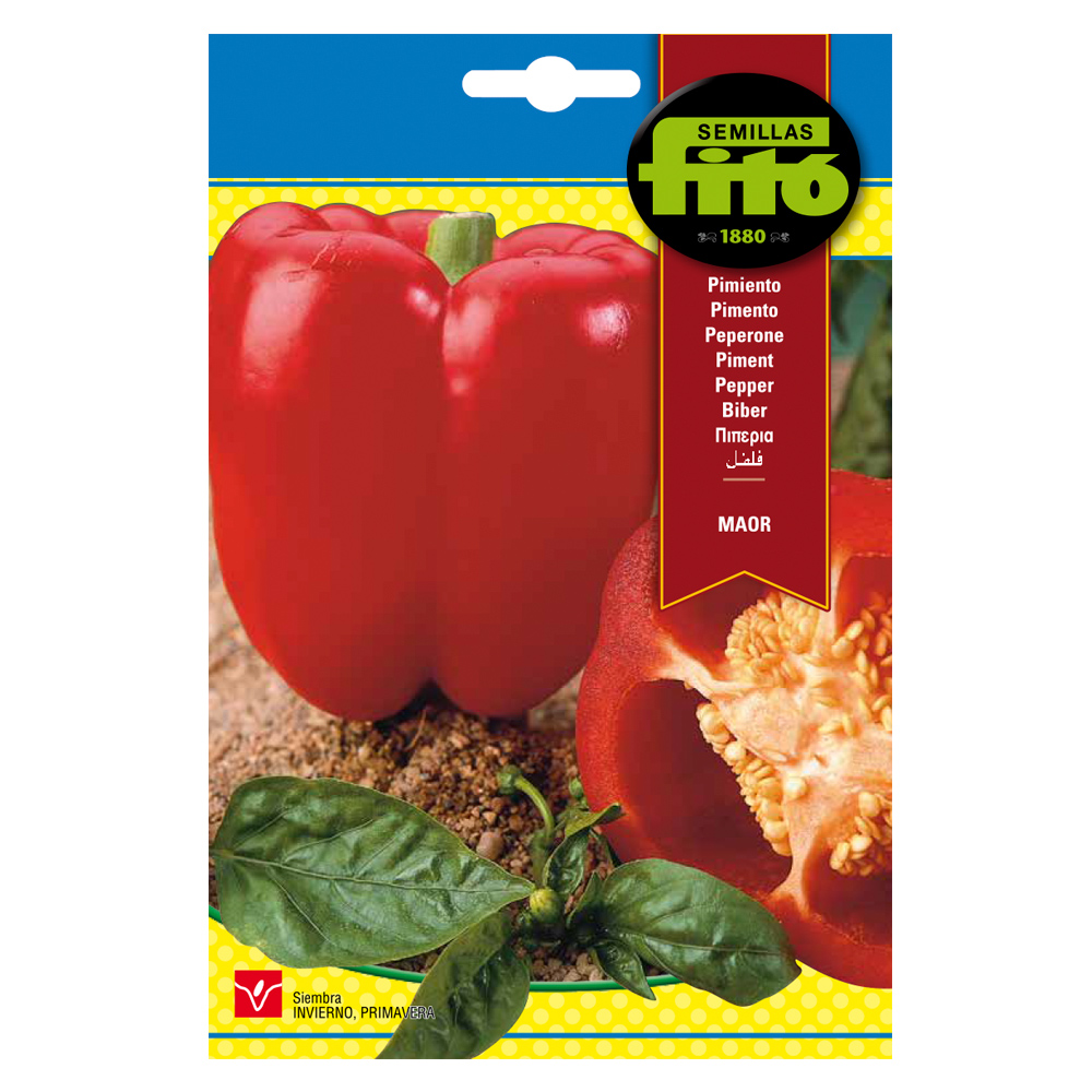 Pebrot Maor-35115000