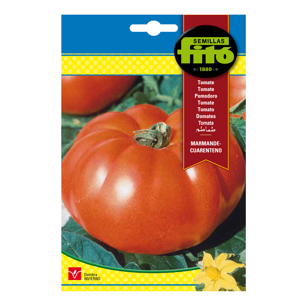 Tomate Marmande - Cuarenteno-35122000