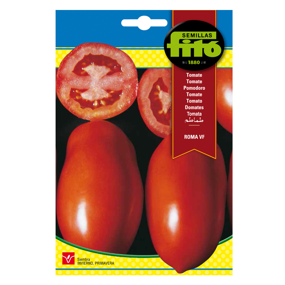 Tomàquet Roma VF-35124000