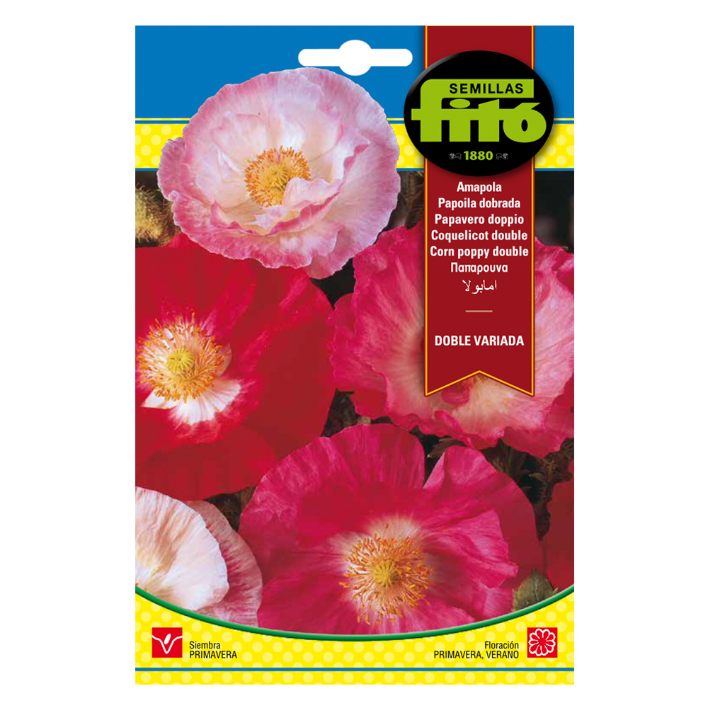 Amapola Doble Variada-35129000