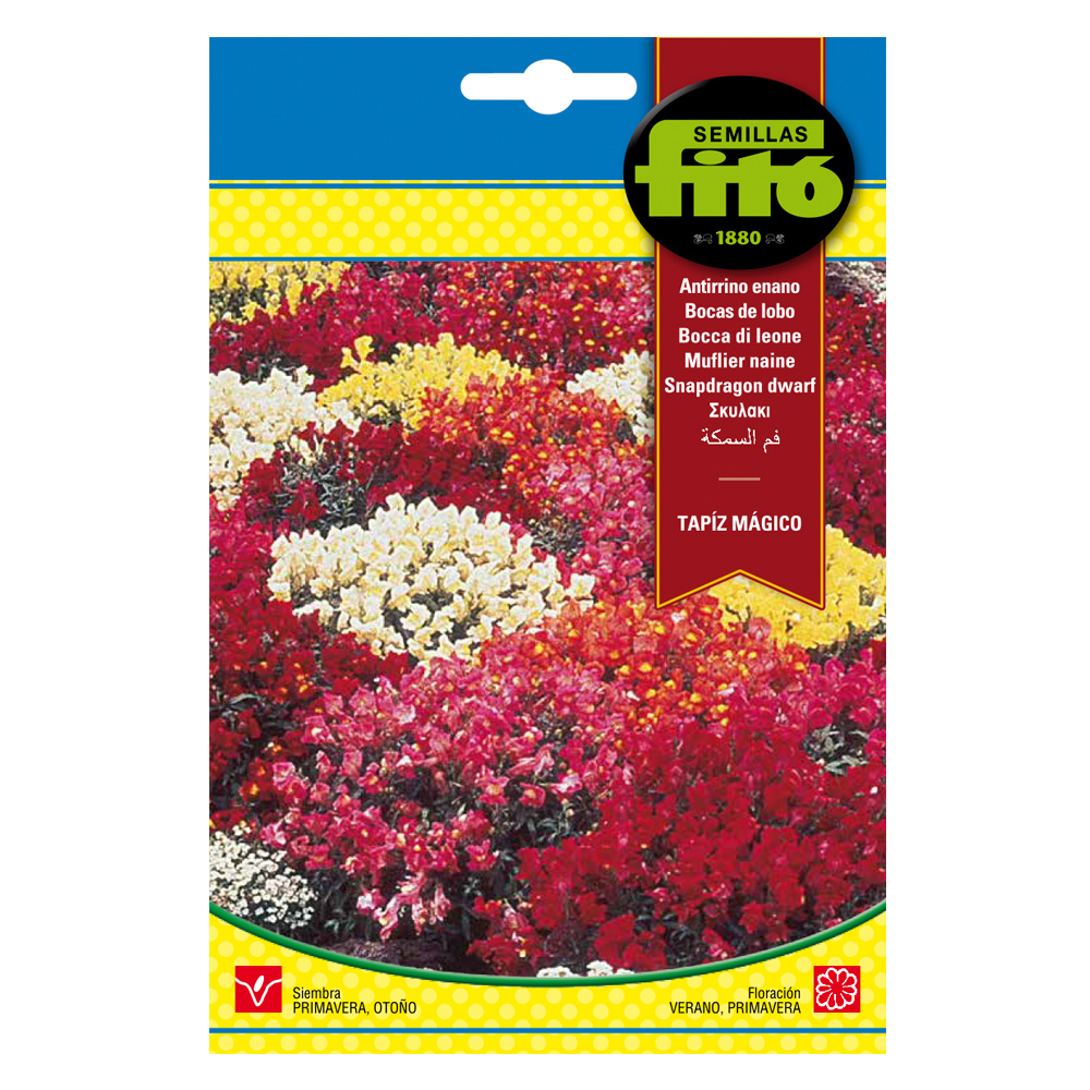Antirrino Enano Tapiz Mágico-35134000