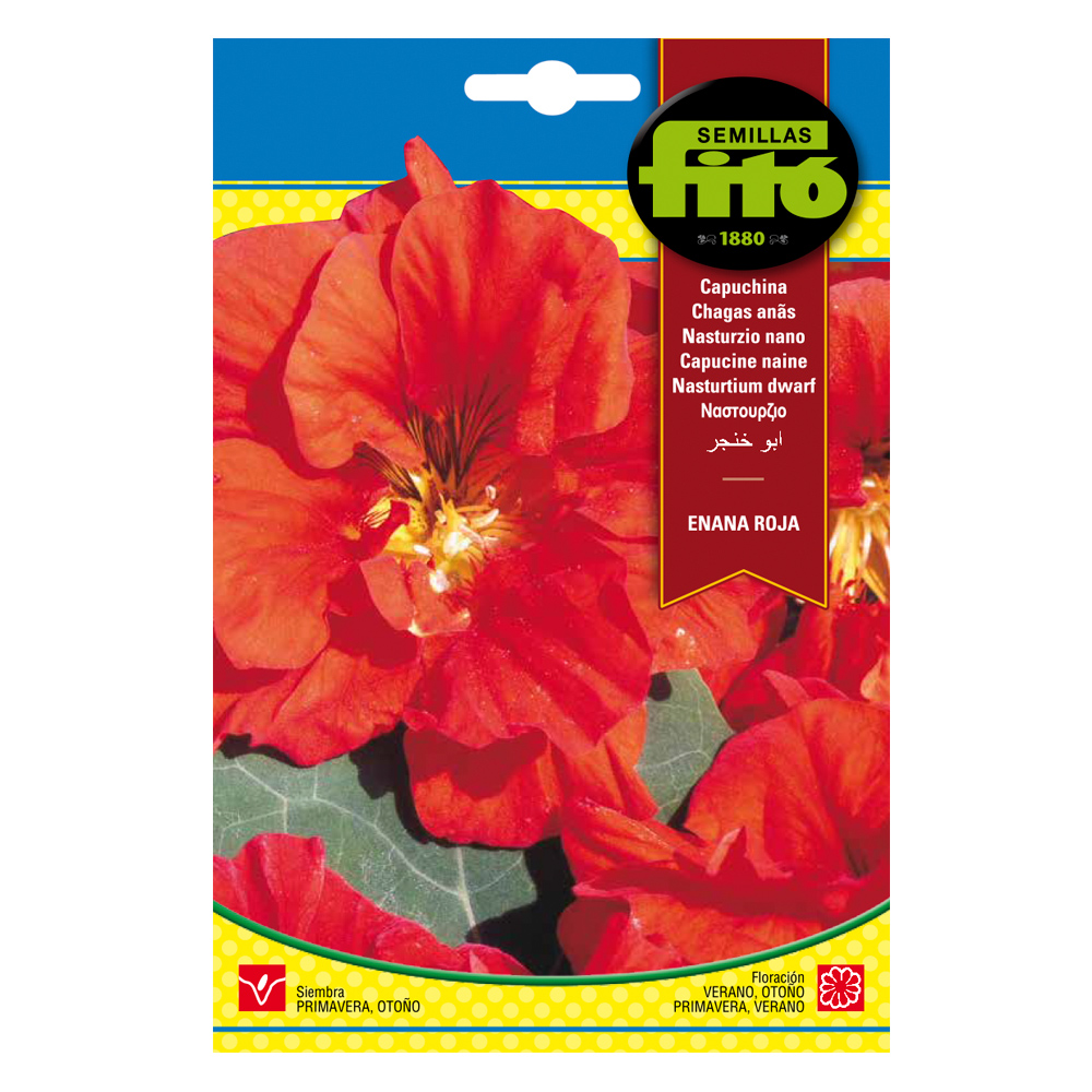 Capuchina Enana Roja-35142000