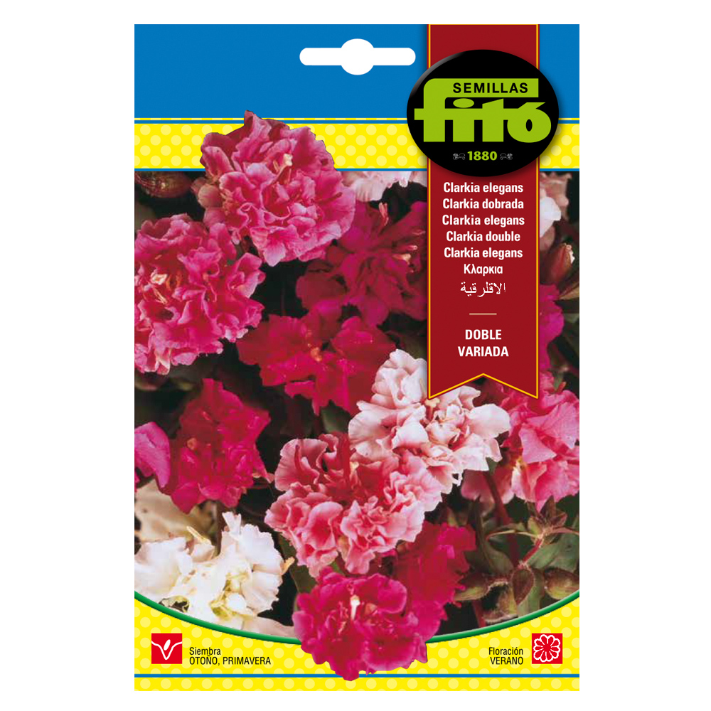 Clarkia Elegans Doble Variada-35148000