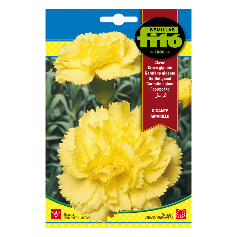 Clavel Gigante Amarillo-35151000