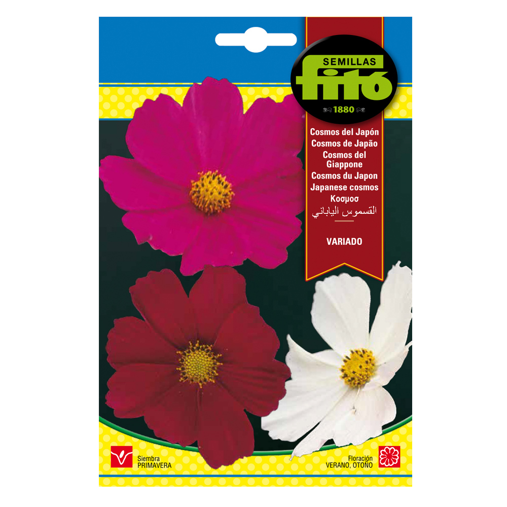 Cosmos  del Japón Variado-35164000