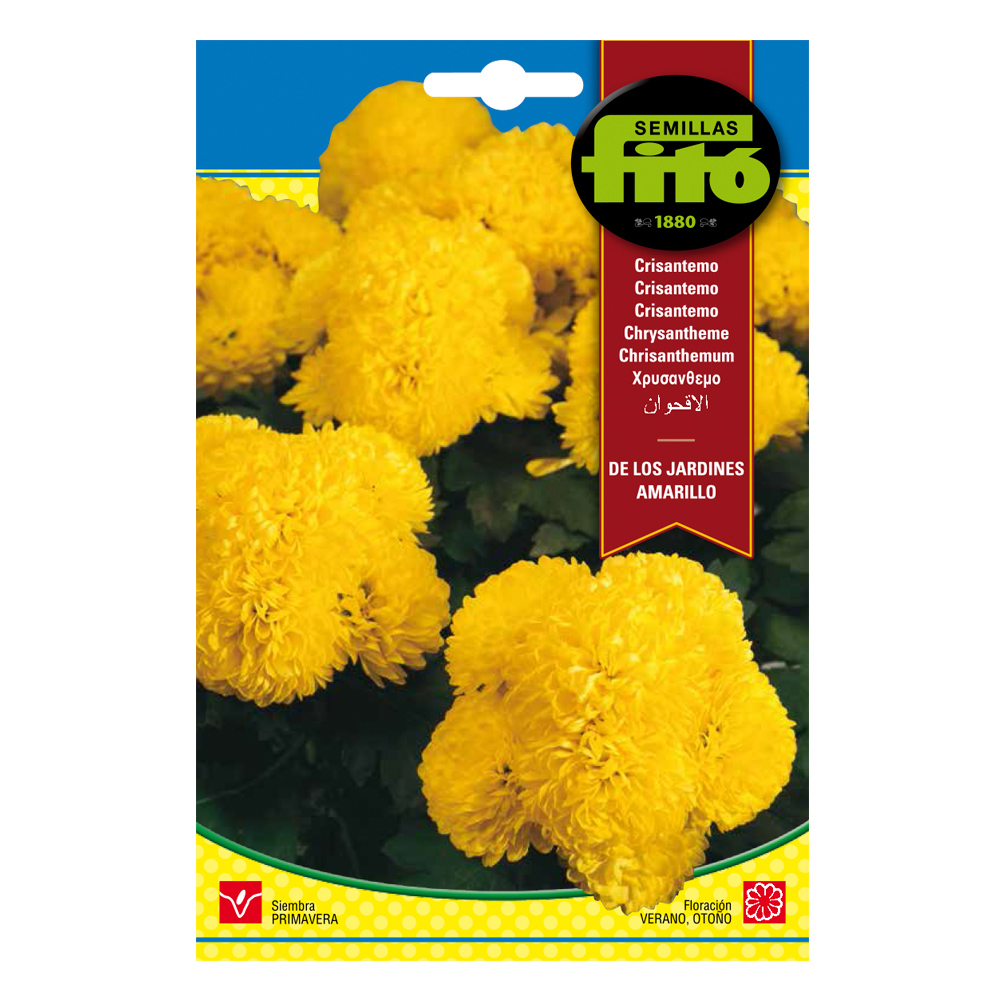 Crisantemo de los Jardines Amarillos-35165000