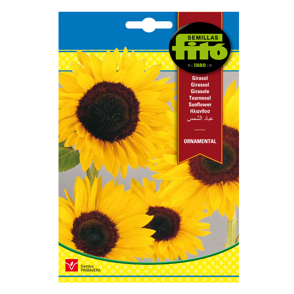 Girasol Ornamental-35175000