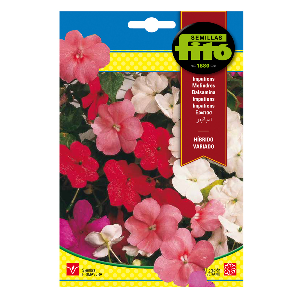 Impatiens Híbrido Variada (Alegría de la Casa)-35179000