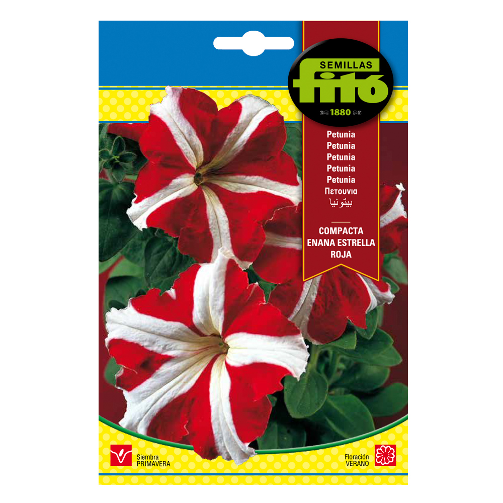 Petunia Compacta Enana Estrella Roja-35198000