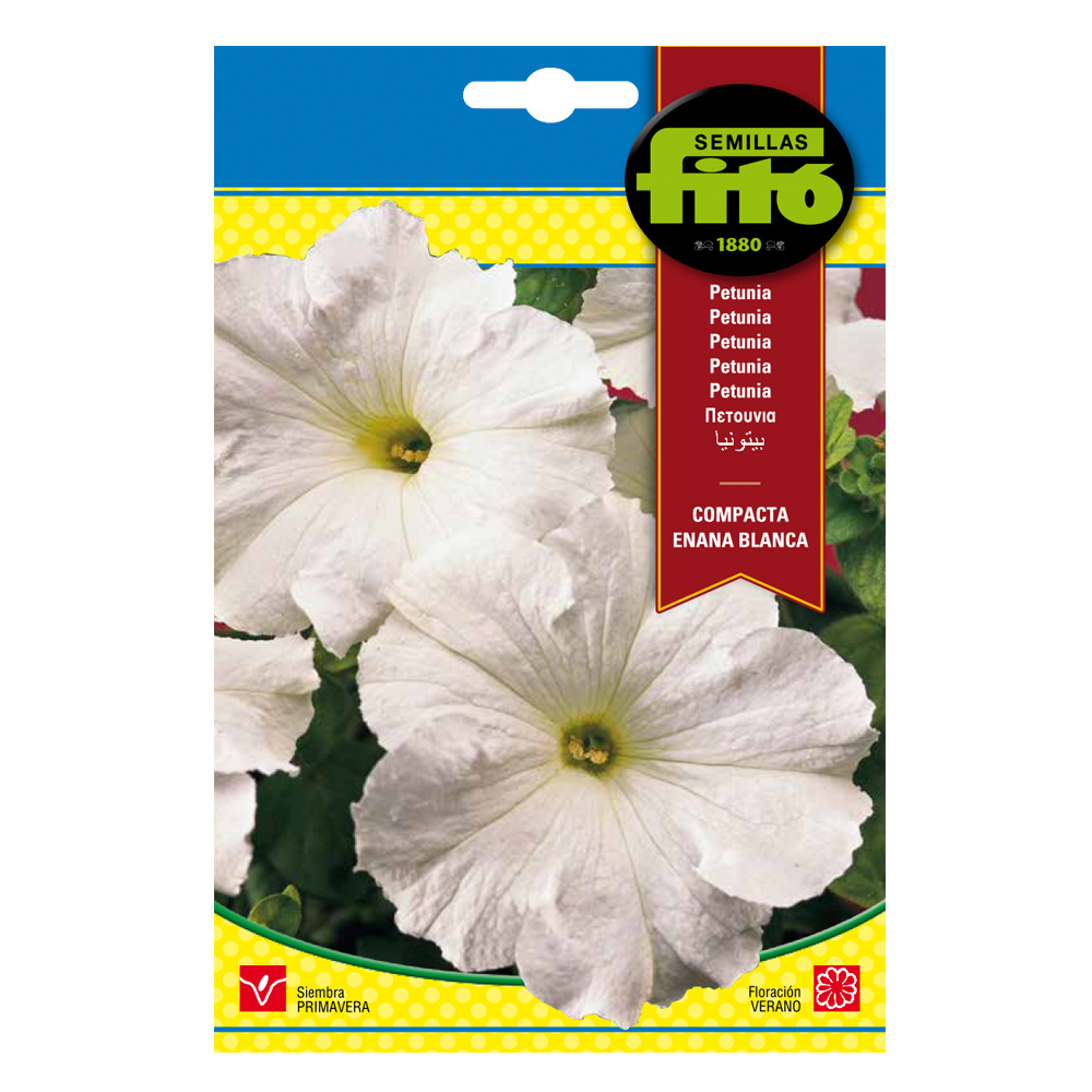 Petunia Compacta Enana Blanca-35199000