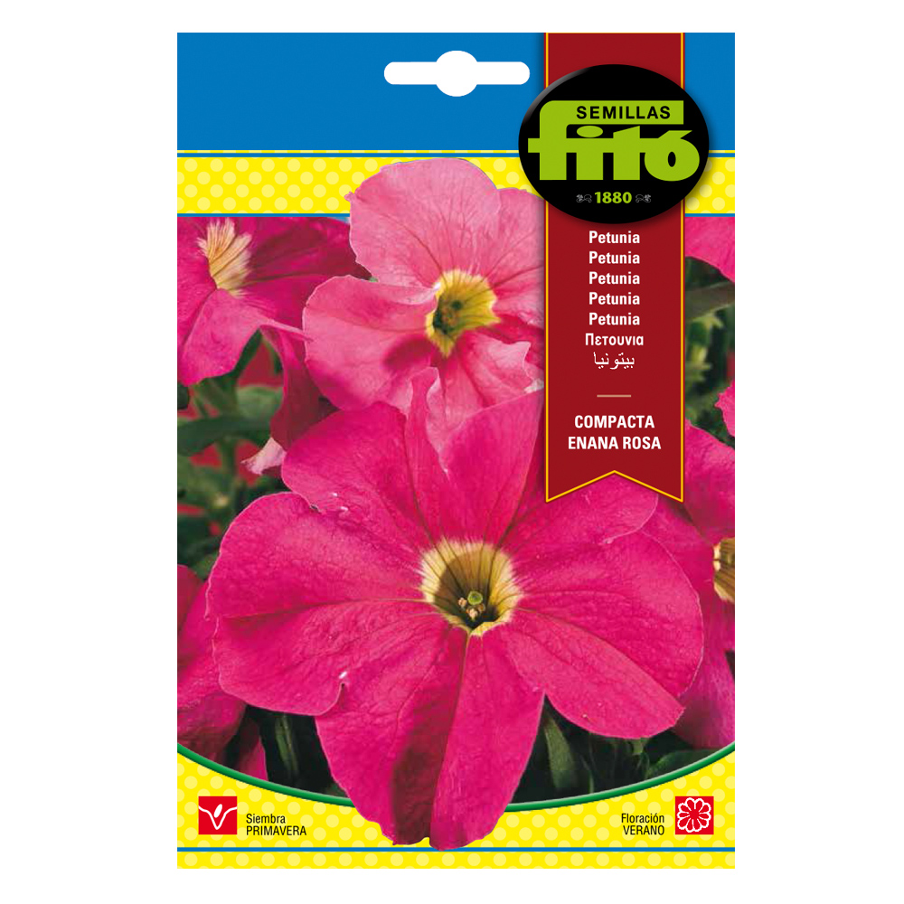 Petunia Compacta Enana Rosa-35201000