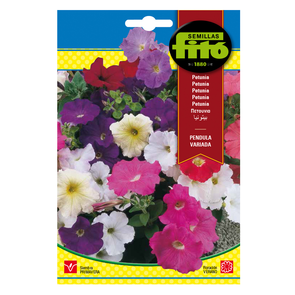 Petunia Péndula Variada-35203000