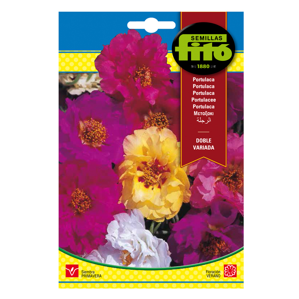 Portulaca Doble Variada-35204000