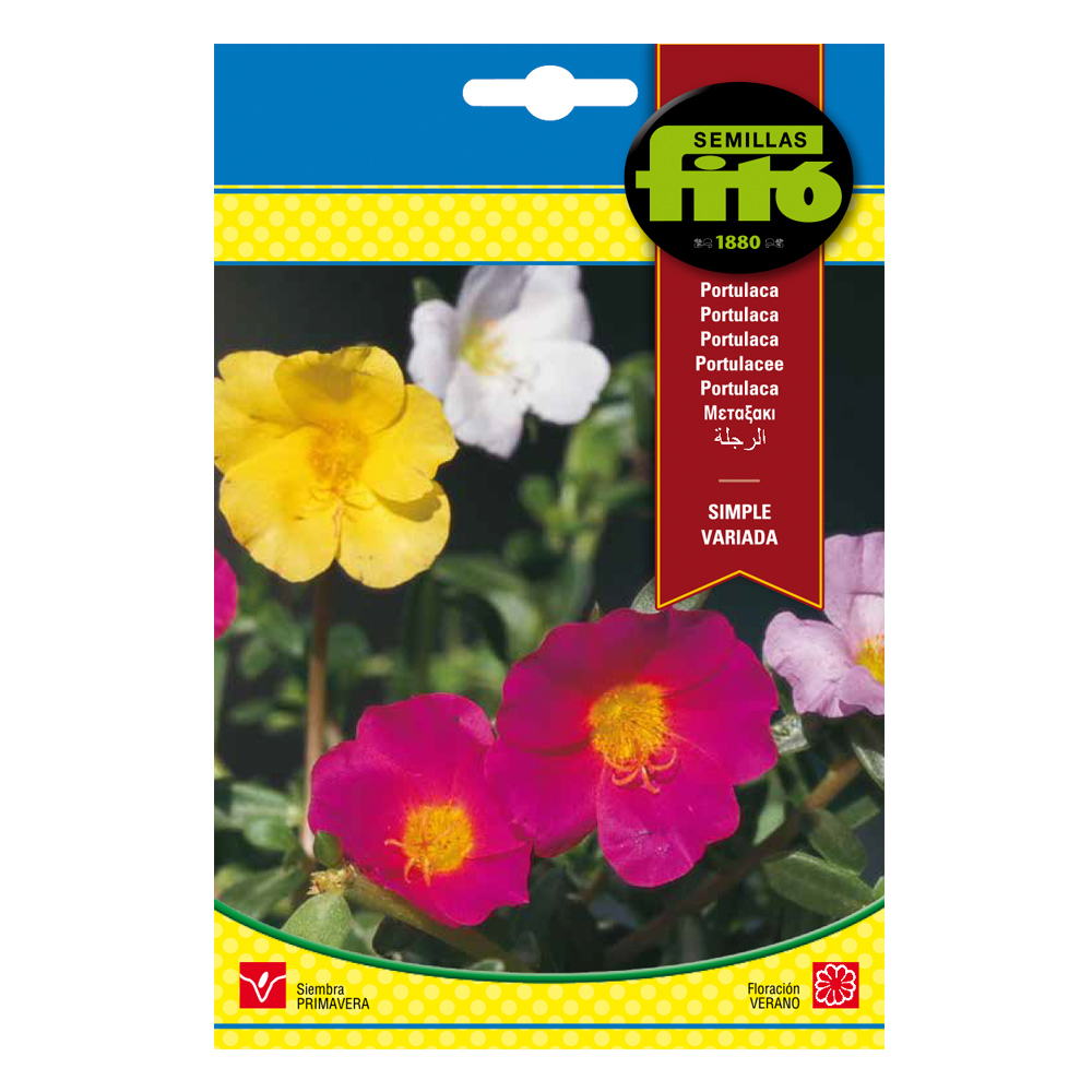 Portulaca Simple Variada-35206000