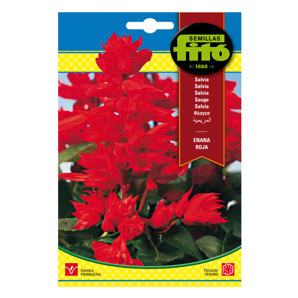 Salvia Enana Roja-35210000