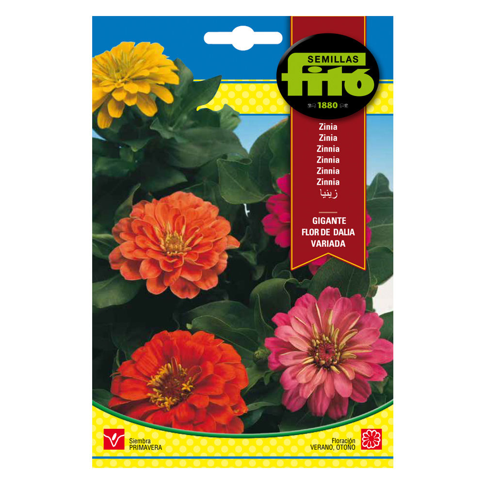 Zinia Gigante Flor de Dalia Variada-35215000