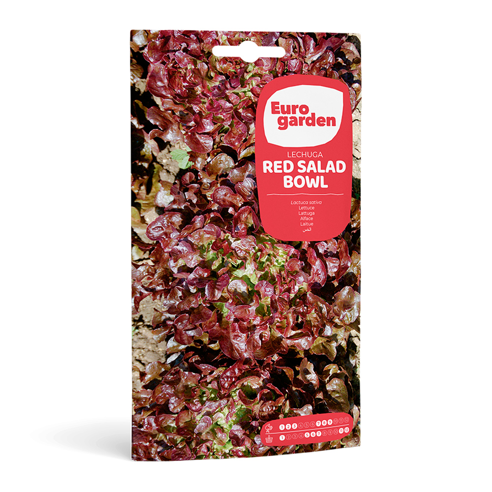 Enciam Red Salad Bowl 5 g Eurogarden -35574000