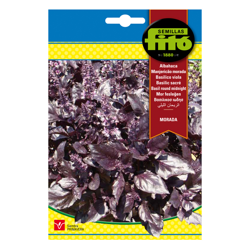Alfàbrega Morada Fitó-35671000