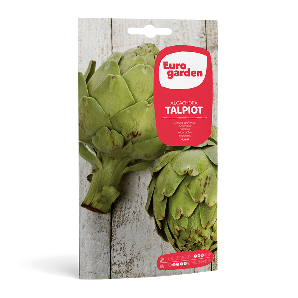 Alcachofa Talpiot 2 g Eurogarden -35709000