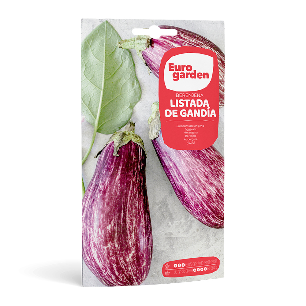 Albergínia Listada de Gandía 3 g Eurogarden -35713000