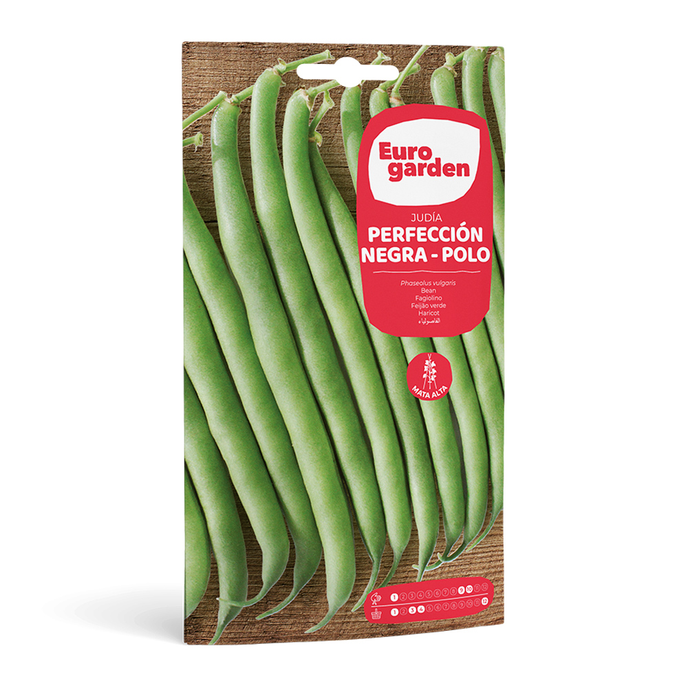 Mongeta Perfección Negra - Polo 35 g Eurogarden -35730000