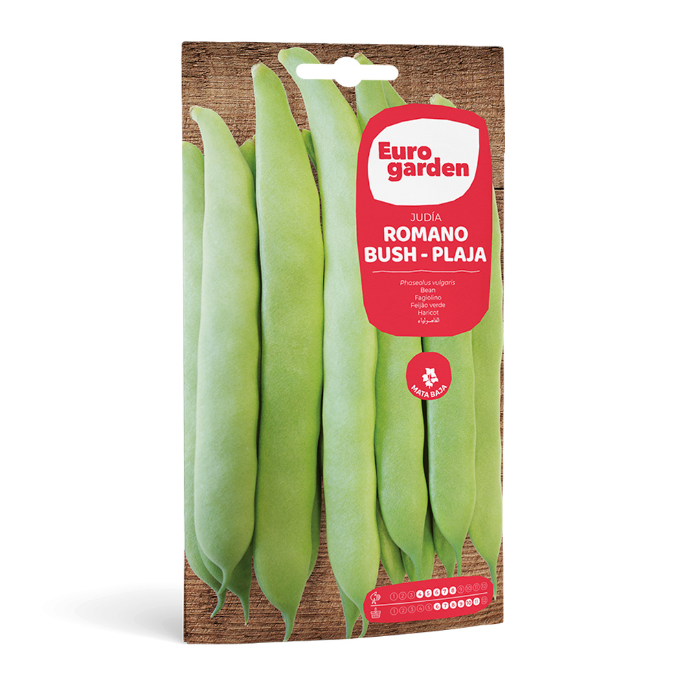 Judía Romano Bush - Plaja 35 g Eurogarden -35731000